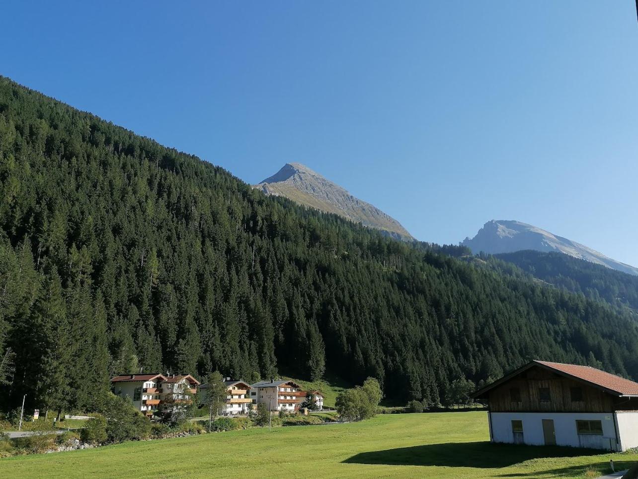 Apartment Alps