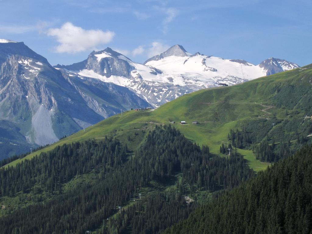Apartment Alps