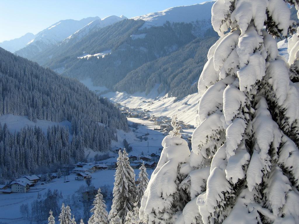 Apartment Alps