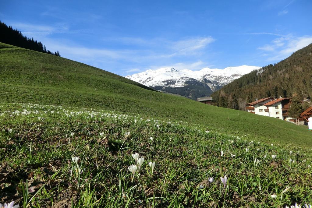 Apartment Alps