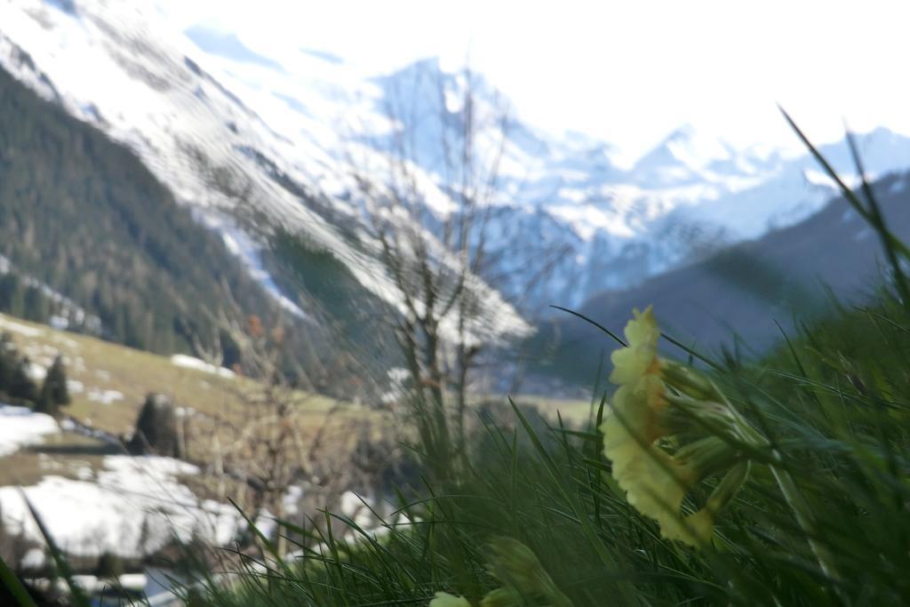 Apartment Alps *