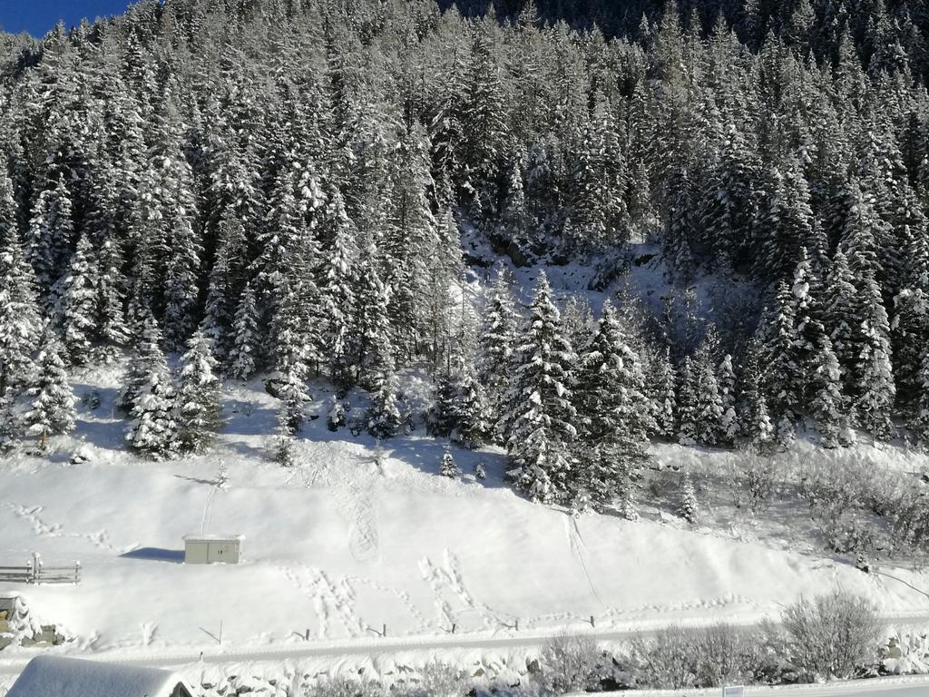 Apartment Alps *