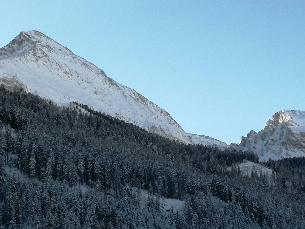 Apartment Alps