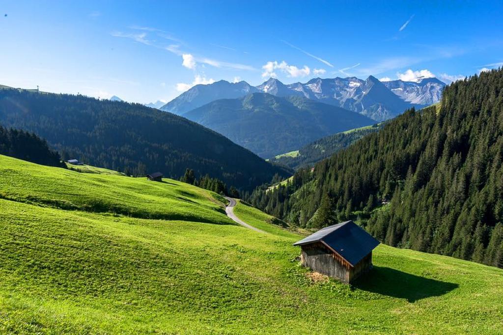 Apartment Alps *