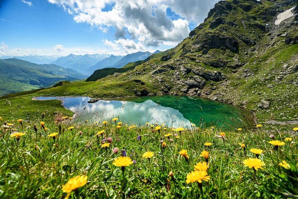 Alps