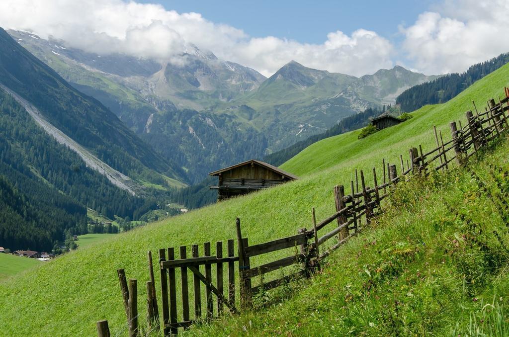 Alps * Tux